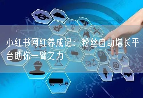 小红书网红养成记：粉丝自助增长平台助你一