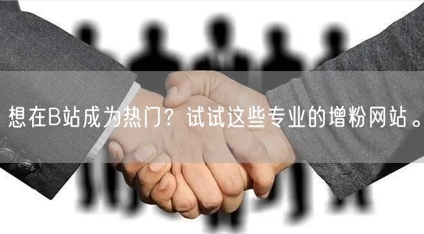 想在B站成为热门？试试这些专业的增粉网站。