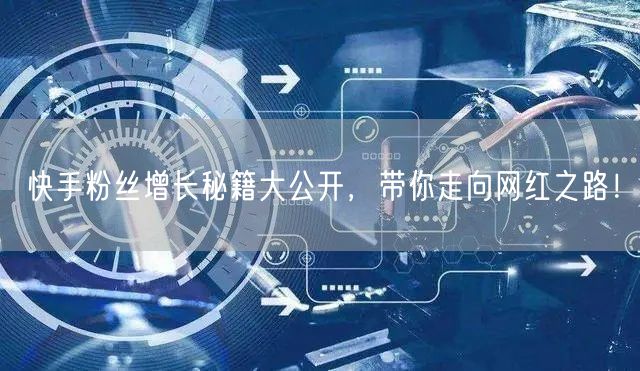快手粉丝增长秘籍大公开，带你走向网红之路！