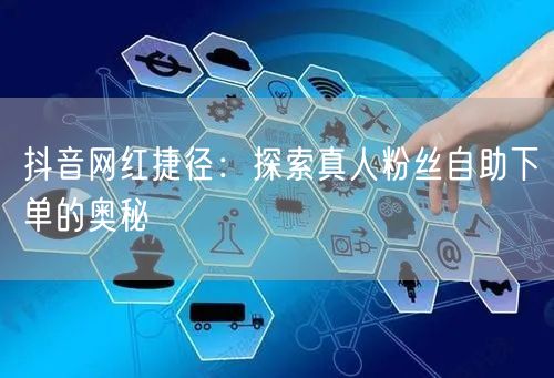 抖音网红捷径：探索真人粉丝自助下单的奥秘