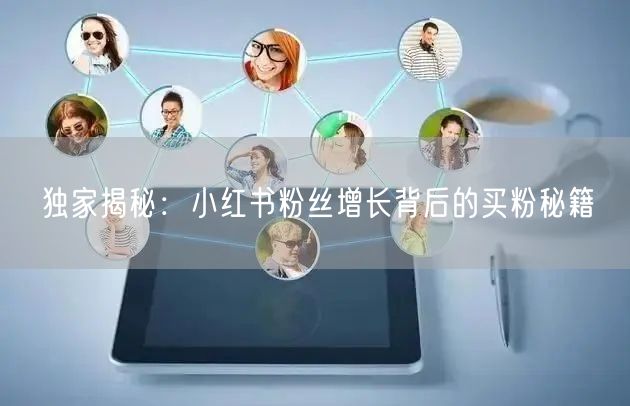 独家揭秘：小红书粉丝增长背后的买粉秘籍