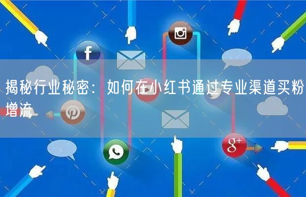 揭秘行业秘密：如何在小红书通过专业渠道买
