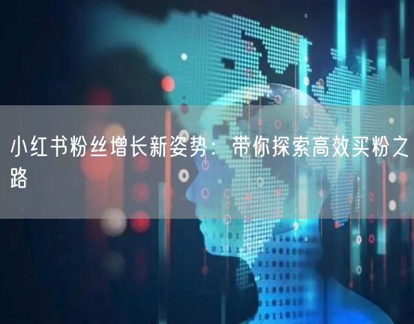 小红书粉丝增长新姿势：带你探索高效买粉之