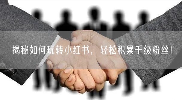 揭秘如何玩转小红书，轻松积累千级粉丝！