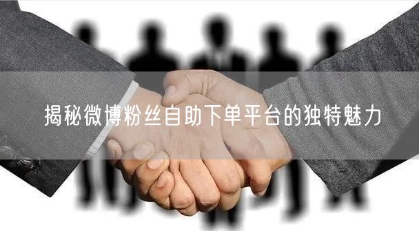 揭秘微博粉丝自助下单平台的独特魅力