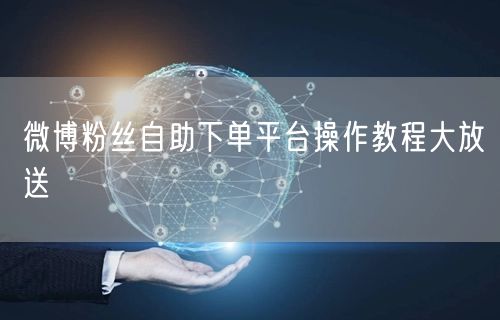 微博粉丝自助下单平台操作教程大放送
