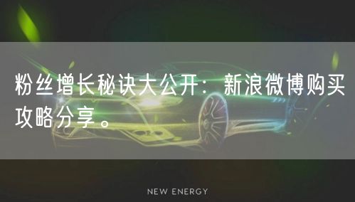 粉丝增长秘诀大公开：新浪微博购买攻略分享。
