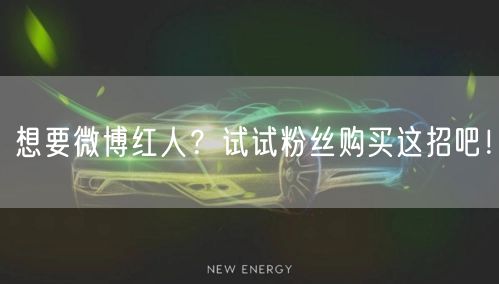 想要微博红人？试试粉丝购买这招吧！