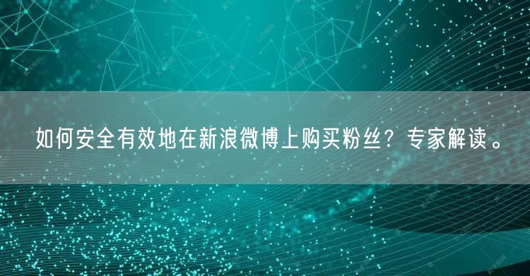 如何安全有效地在新浪微博上购买粉丝？专家解读。