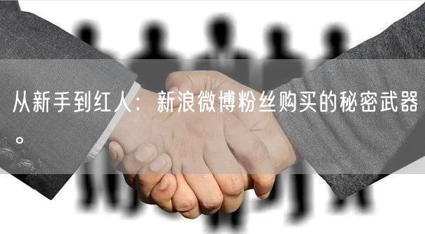 从新手到红人：新浪微博粉丝购买的秘密武器。