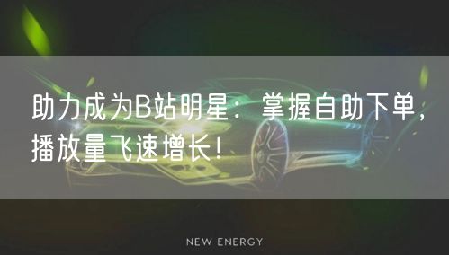 助力成为B站明星：掌握自助下单，播放量飞速增长！