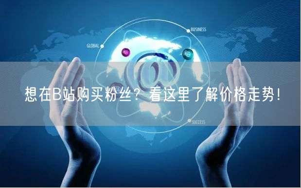 想在B站购买粉丝？看这里了解价格走势！