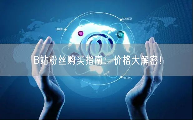 B站粉丝购买指南：价格大解密！
