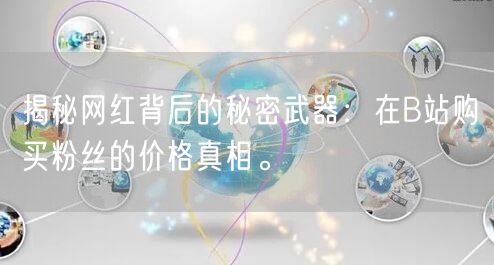 揭秘网红背后的秘密武器：在B站购买粉丝的价格真相。