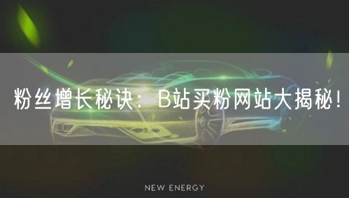 粉丝增长秘诀：B站买粉网站大揭秘！