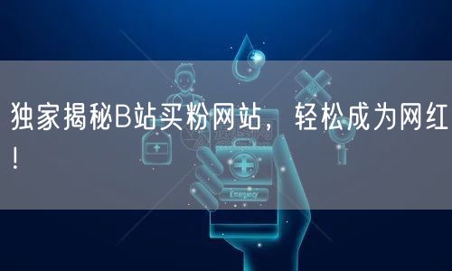 独家揭秘B站买粉网站，轻松成为网红！