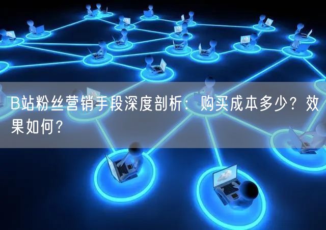 B站粉丝营销手段深度剖析：购买成本多少？效果如何？