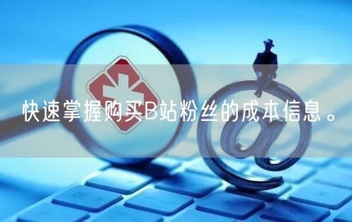 快速掌握购买B站粉丝的成本信息。