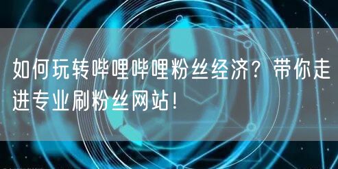 如何玩转哔哩哔哩粉丝经济？带你走进专业刷粉丝网站！