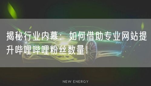 揭秘行业内幕：如何借助专业网站提升哔哩哔哩粉丝数量！
