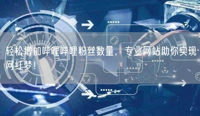 轻松增加哔哩哔哩粉丝数量，专业网站助你实现网红梦！