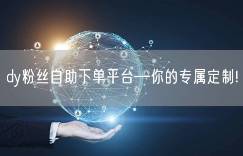 dy粉丝自助下单平台—你的专属定制!