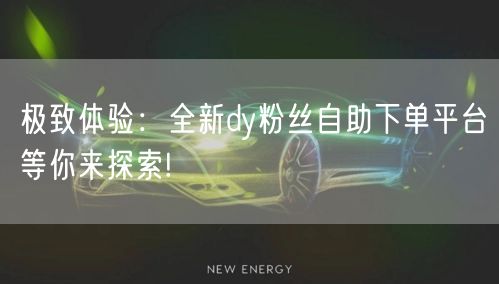 极致体验：全新dy粉丝自助下单平台等你来探索!