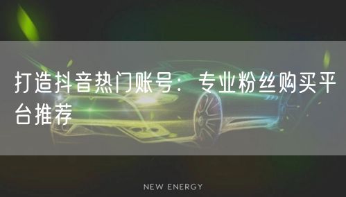 打造抖音热门账号：专业粉丝购买平台推荐