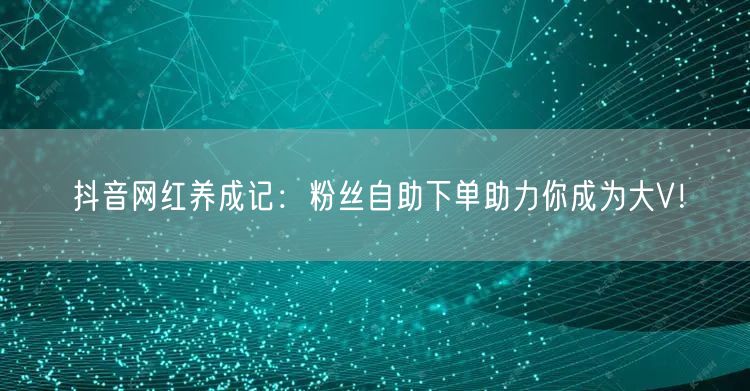 抖音网红养成记：粉丝自助下单助力你成为大