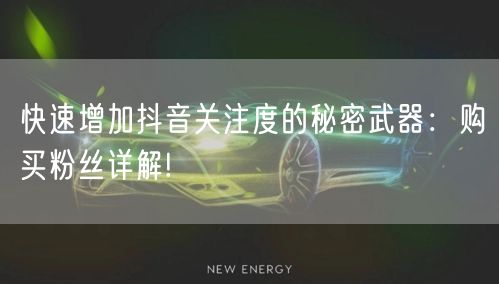 快速增加抖音关注度的秘密武器：购买粉丝详